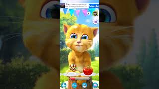 Ginger cat talkingtomfunnybox funny funbox relaxingunbox games toyboxfun gaming funboxtv [upl. by Lily]