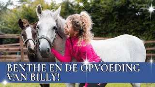 Wanneer mag je een veulen eigenlijk afspenen  PaardenpraatTV [upl. by Walton]