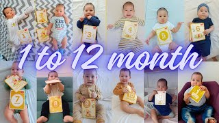 1 to 12 month baby video Newborn to 1 year 0 to 12 months baby development Newborn to 12 months [upl. by Olav]