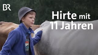 Ferien auf Allgäuer Alpe Kleinhirte mit 11 Jahren  Zwischen Spessart und Karwendel  BR [upl. by Trenna375]