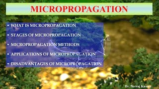 Micropropagation  Its methods stages applications and disadvantages  Clonal propagation [upl. by Alten]