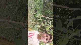 song emonvlog Emon Vlog [upl. by Llenod]