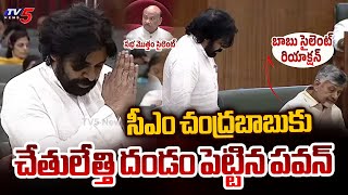 AP Deputy CM Pawan Kalyan Powerful Comments On CM Chandrababu  AP Assembly Budget Sessions 2024 [upl. by Hamner242]