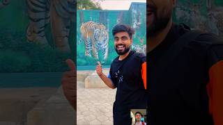 Watch Full Vlog of Jungle Safari 😍 dushyantkukreja shorts [upl. by Reamy]