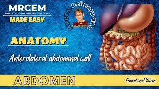 MRCEM Primary  Anatomy  Abdomen  Anterolateral abdominal wall [upl. by Zachery]