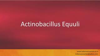 Pronunciation of the words quotActinobacillus Equuliquot [upl. by Aivyls]