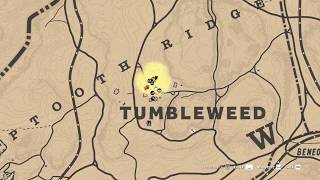 Red Dead Redemption 2 Online TUMBLEWEED Tarot cards Location [upl. by Aiyt632]