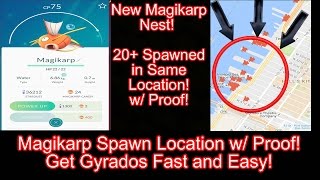 Pokemon GO Magikarp Nest 20 Spawned In quotHow to Get Gyrados Fast and Easyquot 720p [upl. by Carrelli675]