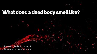 What Does a Dead Body Smell Like [upl. by Enerol]