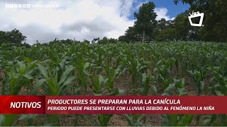 Productores se preparan para la canícula [upl. by Watt]