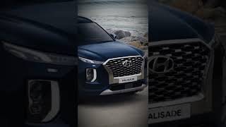 Hyundai palisade 2022 [upl. by Starlin]