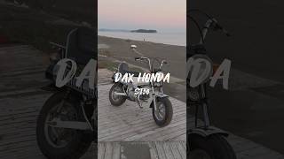 DAX HONDA ST50🛵 [upl. by Epolenep191]