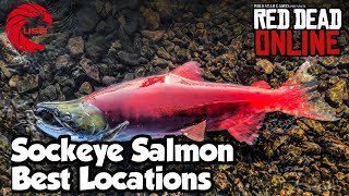 Sockeye Salmon Locations rdr2 Online  Red Dead Online Sockeye Salmon Location Guide [upl. by Margie]