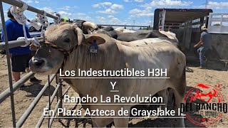 LOS INDESTRUCTIBLES H3H Y RANCHO LA REVOLUZION EN PLAZA AZTECA DE GRAYSLAKE IL JARIPEYAZO [upl. by Langer]