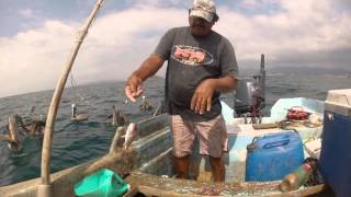 El Buzo pesca Huachinangos con Anzuelo Nayarit Mexico  Red Snapper Line Fishing [upl. by Mohamed524]