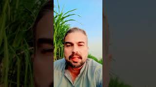 Kalam Mian Muhammad Baksh shortsviral ytshorts [upl. by Augustus]