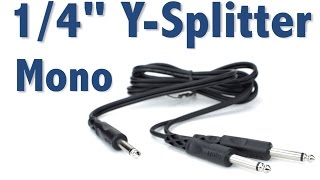 Hosa Mono YSplitter  Split 1 Output Into 2 Inputs [upl. by Zoi386]