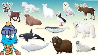 Gli Animali Artici  Video per bambini con i suoni reali degli animali [upl. by Nahsed]