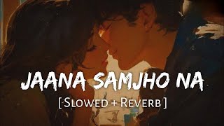 Jaana Samjho Na Slowed Reverb srlofi71 LofiGirl FactnFocus LofiSongOne [upl. by Danica]