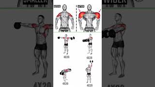 shorts Wider Shoulder Dumbbell Exercise weightlossexercise sports [upl. by Idnic842]