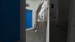 Walking in the Kasbah of Tanger  Tangier  Morocco [upl. by Hahn]