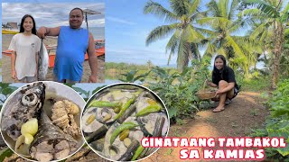 GINATAANG TAMBAKOL SA KAMIAS  SINIGANG SA KATMON NA TAMBAKOL  PAGBILI NG ISDA SA TABING DAGAT [upl. by Nally]