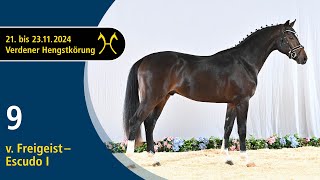 No 9 Stallion by Freigeist  Escudo I  Verden Stallion Licensing 2024  Dressage  Nov 2223 [upl. by Catton]