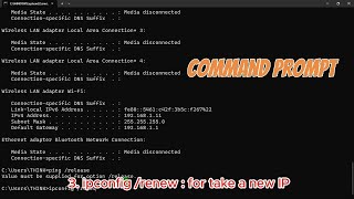 Command Prompt Test Internet Ping Command and Ipconfig command [upl. by Anyek]