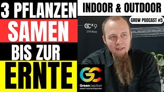 3 Pflanzen vom Samen bis zur Ernte Indoor und Outdoor mit Jöran von Greenception [upl. by Elene865]