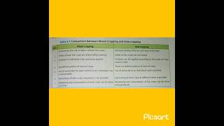 Difference between mixed crops and intercroping mixedcrops intercropping [upl. by Leryt]