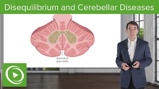 Disequilibrium and Cerebellar Diseases [upl. by Naples355]