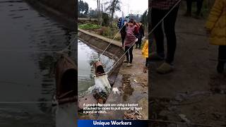 Using a basket to pull water  The workers do their job perfectly  machine shorts [upl. by Niamor]