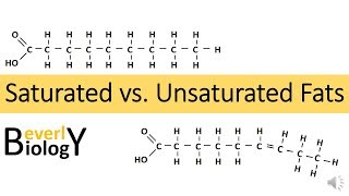 What are fats  Healthy Eating for Kids [upl. by Ebby]