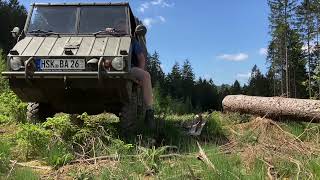 Steyr Puch Haflinger offroad Camper [upl. by Gulgee]