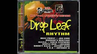 drop leaf riddim mix 2004 reggae don corleon [upl. by Assiralk292]