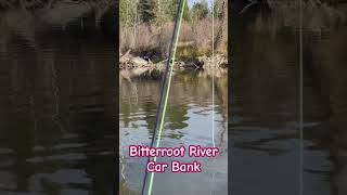 Bitterroot River Carbank  abandoned cars along the riverbank [upl. by Stroup291]