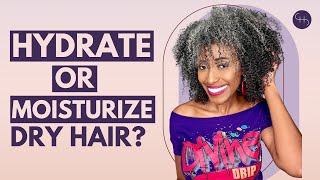 Say Goodbye to Dry Hair with This Moisture Hack [upl. by Bradshaw]