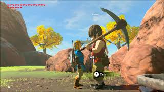 Breath of the Wild Tarrey Town Side Quest Walkthrough [upl. by Pani993]