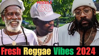 Missile 68  2024 Reggae Reload [upl. by Ahsilad]