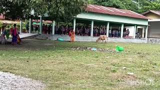 L P School Bhakatpara  Aundwi Fwra Class Suty Janai yao Aroz kmnai [upl. by Itak]