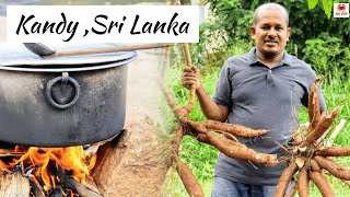 Traditional Boiled Manioc Recipe in Simple Wayඋඩරට මහවැලි ගග මැද තැම්බු රසම රස මඤ්ඤොක්කා [upl. by Rossen]