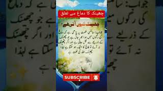 chink allah ki nemat hy [upl. by Einnos641]