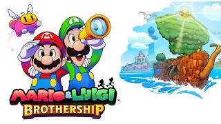 Mario and Luigis 510 Blundership [upl. by Lokcin893]