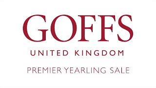 Goffs Premier Yearling Sale 2019  Day 1 [upl. by Arait]