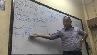 Dr Ayman Beshir  Cholesterol Metabolism [upl. by Averi]