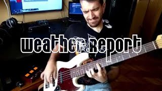 Weather Report  Havona Bass cover [upl. by Encratis]