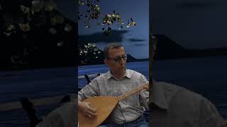 Arkası Gelmez 《Cengiz Gülbahçe 》Bağlama Melody [upl. by Joao]