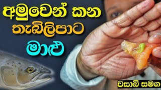 වසාබි වල තිත්ත ඇත්ත දැනගන්න  sinhala food review  wasabi challange [upl. by Dom]