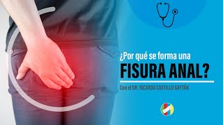 ¿POR QUÉ SE FORMA UNA FISURA ANAL [upl. by Gav]