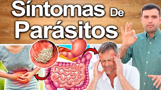 Síntomas Que Indican Que Tienes Bichos  Cómo Saber Si Tienes Parásitos En El Cuerpo [upl. by Mariam]